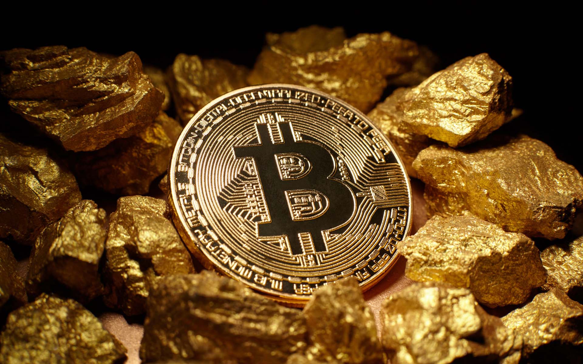 bitcoin gold fork blockchain wallet